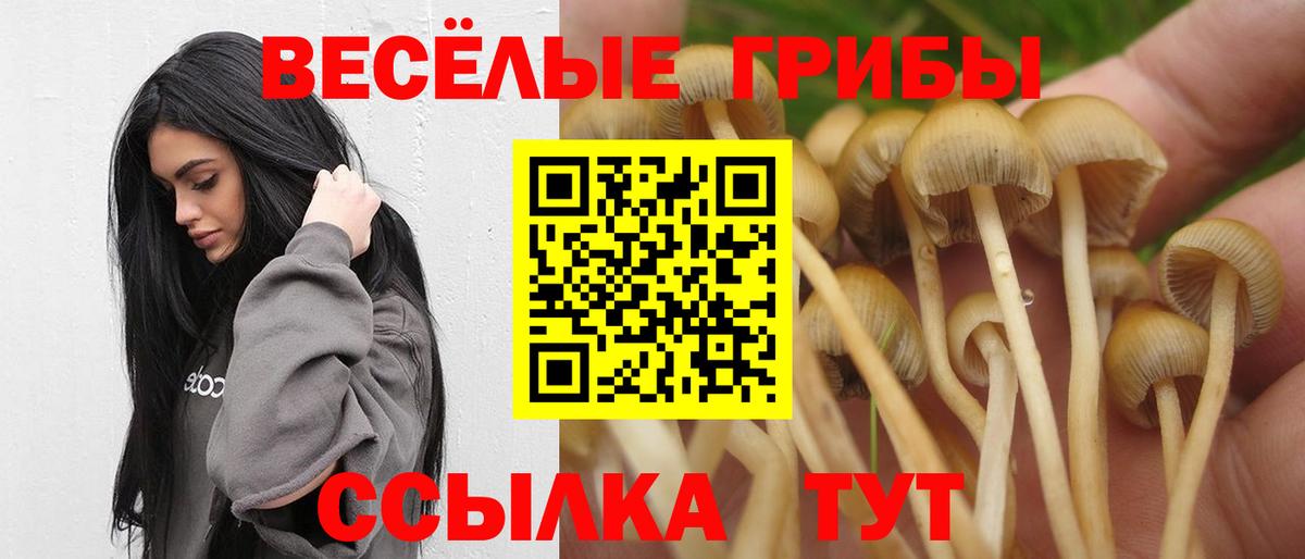 Псилоцибиновые грибы прущие грибы  Псилоцибиновые грибы Cubensis  Вход с VPN  Симферополь 